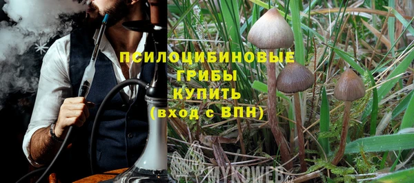 прущие грибы Белоозёрский