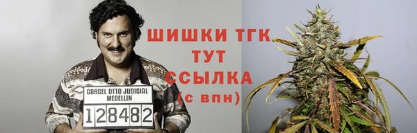 прущие грибы Белоозёрский