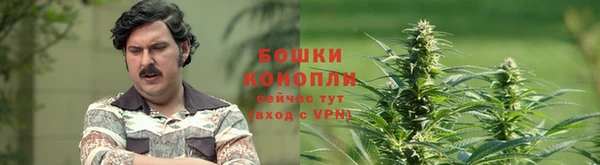 ALPHA-PVP Белокуриха