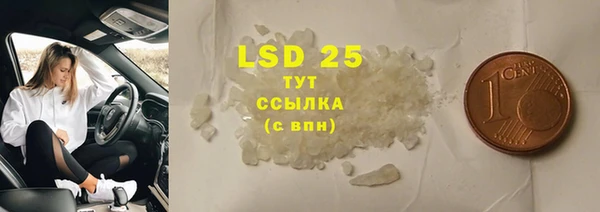 прущие грибы Белоозёрский