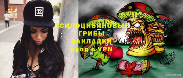 прущие грибы Белоозёрский