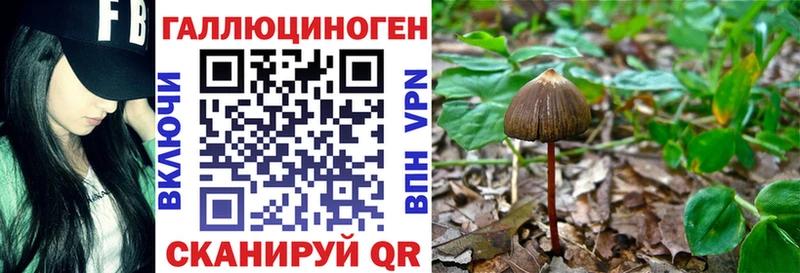 Псилоцибиновые грибы мухоморы  Трёхгорный 